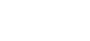 Digital Toppers White Logo